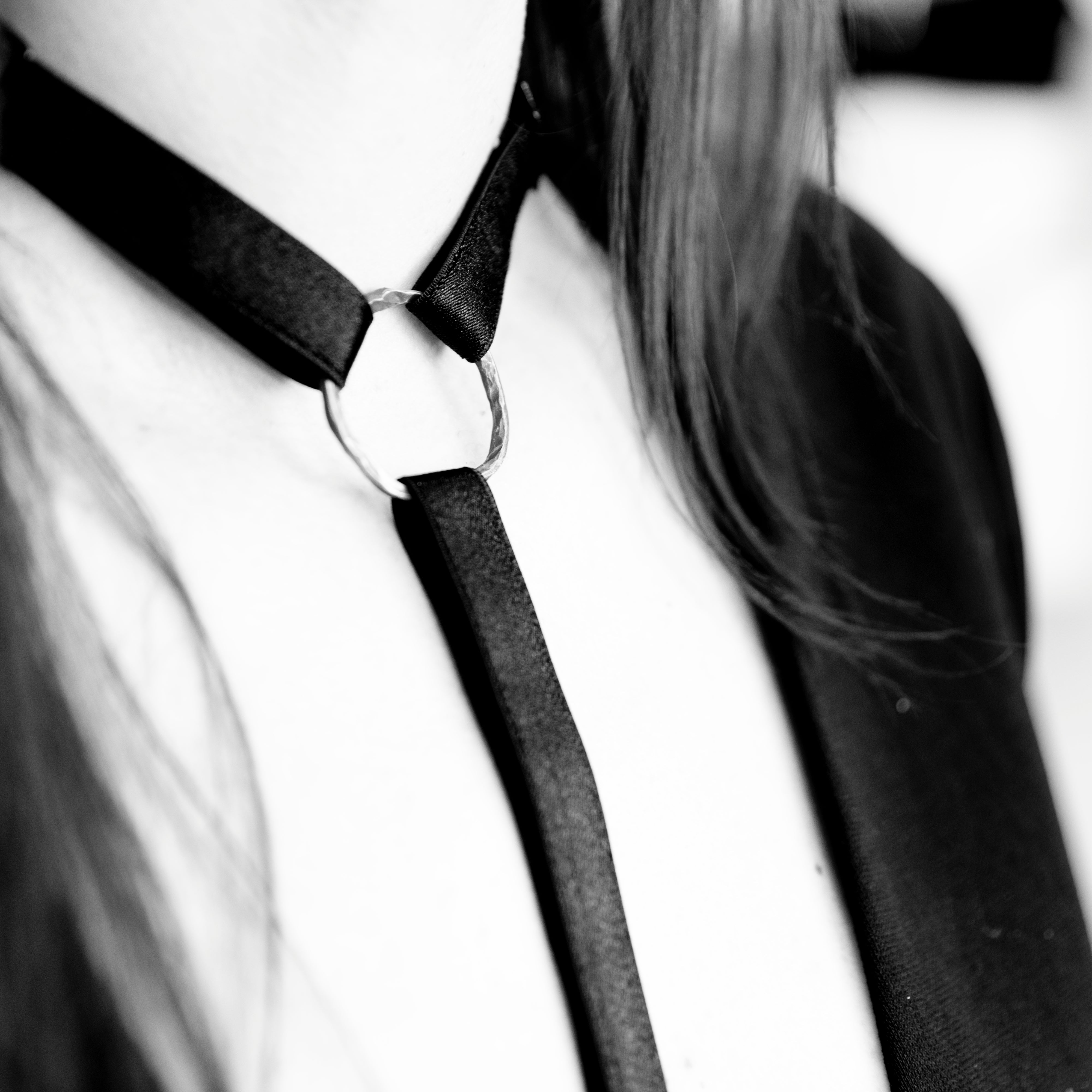 LEGION PARIS X PALOMA CASILE HARNAIS